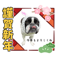 [LINEスタンプ] フレブル6兄弟のスタンプNO.2