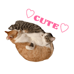 [LINEスタンプ] テオちゃんナナちゃん