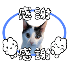 [LINEスタンプ] てんちゃんのメリクリ＆新年ご挨拶の画像（メイン）