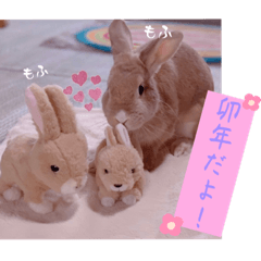 [LINEスタンプ] うさぎのハル 〜季節のご挨拶編〜