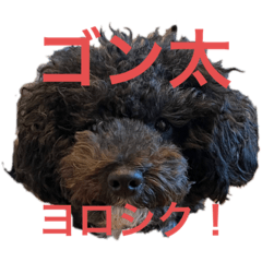[LINEスタンプ] ましゴン太