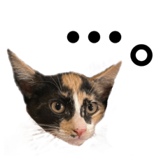[LINEスタンプ] すずはちスタンプ