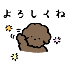 [LINEスタンプ] 家族で使える3色のトイプードル