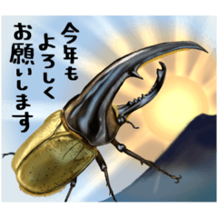 [LINEスタンプ] クワカブ好き 冬バージョン