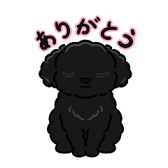 [LINEスタンプ] 黒いトイプードルの日常編