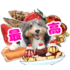 [LINEスタンプ] メープル＆ビリー 3