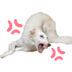 [LINEスタンプ] ぼくのなまえはショーン
