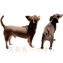 [LINEスタンプ] チルエイト君2