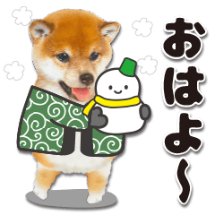 [LINEスタンプ] かわいい犬たち冬♡敬語おおめの冬♡柴犬の画像（メイン）