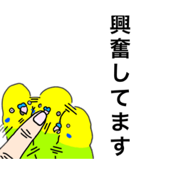 [LINEスタンプ] 鳥の本音