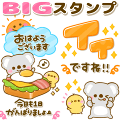 [LINEスタンプ] まいにちコアラ♡基本のBIGスタンプ