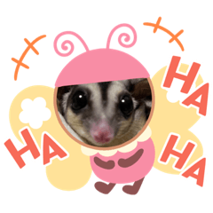 [LINEスタンプ] モモンガのウナギ