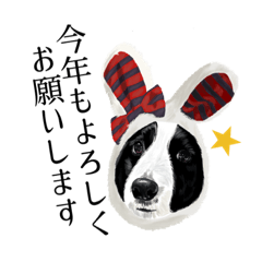 [LINEスタンプ] わんわんお正月（卯年）