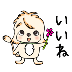 [LINEスタンプ] ハルさん♪コッカプー犬のよく使う言葉