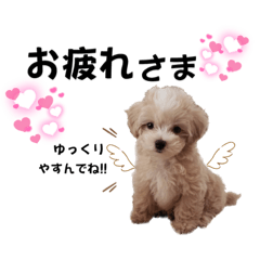 [LINEスタンプ] Bomちゃん♡Yeoreumちゃん