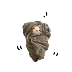 [LINEスタンプ] きょうのむぎ4