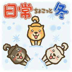 [LINEスタンプ] 茶柴わん 黒柴わん 白柴わん