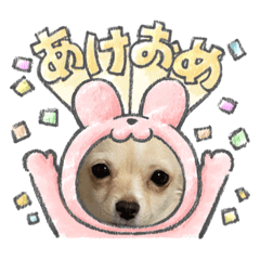 [LINEスタンプ] クーたん毎日スタンプ1