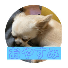 [LINEスタンプ] ほたてとどら