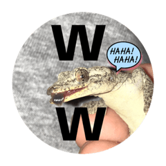 [LINEスタンプ] 愉快な生き物達！5