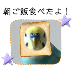 [LINEスタンプ] ミィミィスタンプ！