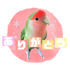[LINEスタンプ] pi _1