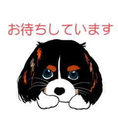 [LINEスタンプ] いぬくん2