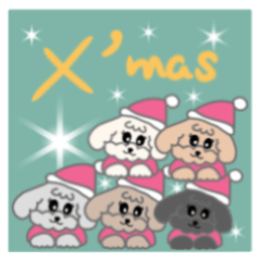 [LINEスタンプ] トイプー5ワン クリスマス