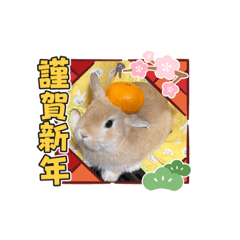 [LINEスタンプ] わあらあげえ