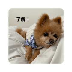 [LINEスタンプ] ふぁんたくん  2