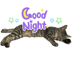 [LINEスタンプ] レオリキ