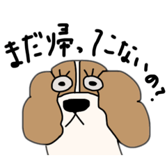 [LINEスタンプ] 日常的に伝えるわんこスタンプ