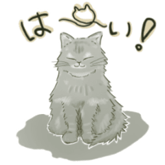 [LINEスタンプ] 長毛猫のバロン