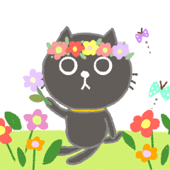 [LINEスタンプ] ふんわり黒猫さん日常で使える挨拶スタンプ