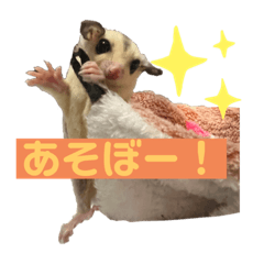 [LINEスタンプ] モモんずスタンプ