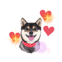 [LINEスタンプ] 豆柴てつこのスタンプ4