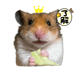 [LINEスタンプ] 北の山に住むてんちゃん