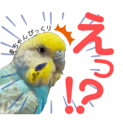 [LINEスタンプ] 麦ちゃんと時々仲間たち♪2