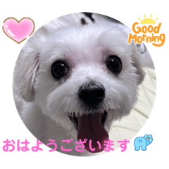 [LINEスタンプ] めりる20221225