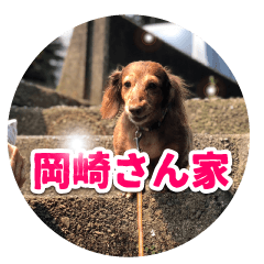 [LINEスタンプ] 岡崎さん家の動物たち