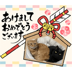 [LINEスタンプ] ちゃんまつHappy New Year♡