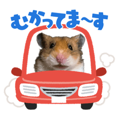 [LINEスタンプ] 北山てんてん
