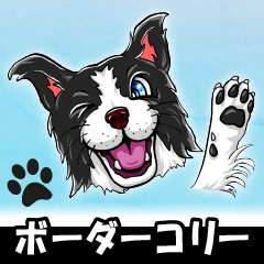 [LINEスタンプ] ボーダーコリー byトヤ画伯