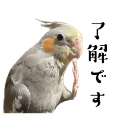 [LINEスタンプ] うちのカワイイちびっこたちPart17