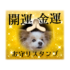 [LINEスタンプ] 犬dog'sパピヨン