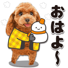 [LINEスタンプ] 【修正版】かわいい犬たち♡敬語冬プードルの画像（メイン）