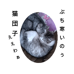 [LINEスタンプ] ととここあ猫スタンプ3
