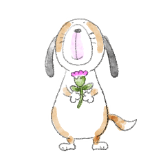 [LINEスタンプ] 君とわんこ(ビーグル)