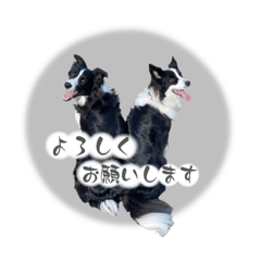 [LINEスタンプ] ルルちゃんキキくん