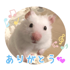 [LINEスタンプ] ふくはるbabies